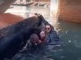 Vídeo: turistas se recusam a sentar e gôndola tomba em Veneza - Reprodução/Redes Sociais