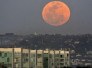 Maior superlua do ano brilhará no céu nesta quinta (17/10) - Minervino Júnior/CB/D.A.Press