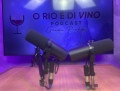 Podcast acompanha expansão da viticultura no Rio -  (crédito: DINO)