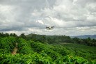 Relatório global DJI comprova benefício ambiental dos drones -  (crédito: DINO)