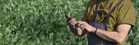 Agrishow: DJI Agriculture apresenta o DJI SmartFarm -  (crédito: DINO)