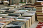 Consumo de livros cresce no Brasil e ganha força nas redes -  (crédito: DINO)