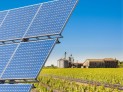 Baterias Moura: gestão energética impulsiona o agro -  (crédito: DINO)
