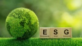 Adequação aos padrões ESG é uma tendência nas empresas -  (crédito: DINO)