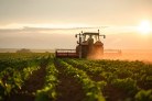 Tensões no Oriente Médio trazem desafios para o agronegócio -  (crédito: DINO)