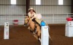 Cowboy Mounted Shooting é lançado oficialmente no Brasil -  (crédito: DINO)