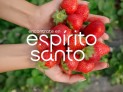 ES lança marca para fortalecer Estado como destino turístico -  (crédito: DINO)