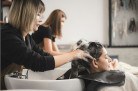 Salões brasileiros adotam ciência no cuidado capilar -  (crédito: DINO)