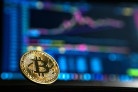 Ripio orienta como declarar criptoativos no Imposto de Renda -  (crédito: DINO)