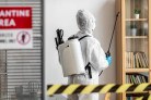 Comércios de São Paulo devem realizar dedetização periódica -  (crédito: DINO)