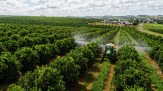 Gulf participa da Bahia Farm Show com produtos certificados - (crédito: User) Gulf participa da Bahia Farm Show com produtos certificados - (crédito: User)