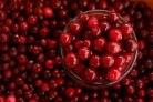 Cranberry ganha espaço como aliado na saúde -  (crédito: DINO)