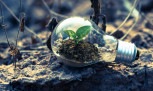 11 conteudos e soluções que todo brasileiro deveria acompanhar - (crédito: Mercado Hoje) 11 conteudos e soluções que todo brasileiro deveria acompanhar - (crédito: Mercado Hoje)