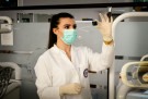 O que observar antes de ingressar em um curso de Medicina  -  (crédito: DINO)