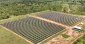 Cresce busca por assinaturas de energia solar no Brasil -  (crédito: DINO)