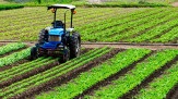 Crédito estruturado apoia mecanização da cafeicultura -  (crédito: DINO)
