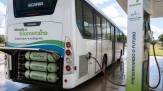 Goiânia aposta no biometano para renovar a frota - (crédito: DINO) Goiânia aposta no biometano para renovar a frota - (crédito: DINO)