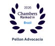 Pellon Advocacia é destaque em novos rankings - (crédito: DINO) Pellon Advocacia é destaque em novos rankings - (crédito: DINO)