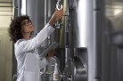 Abrandadores avançam em processos industriais  -  (crédito: DINO)