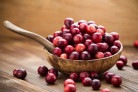 Novas evidências científicas sobre o uso de cranberries - (crédito: DINO) Novas evidências científicas sobre o uso de cranberries - (crédito: DINO)