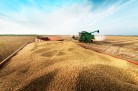 Grupo do agro aprova recuperação judicial com deságio de 85% -  (crédito: DINO)