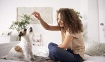 Como criar uma rotina de cuidados que respeite cães e gatos - (crédito: Mercado Hoje) Como criar uma rotina de cuidados que respeite cães e gatos - (crédito: Mercado Hoje)
