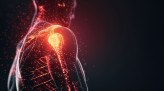  3D illustration of a human body with shoulder pain, medical concept of discomfort and inflammation in the shoulder area
       -  (crédito:  ageevphoto)