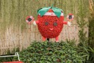 Festa de Flores e Morangos de Atibaia apresenta novidades - (crédito: DINO) Festa de Flores e Morangos de Atibaia apresenta novidades - (crédito: DINO)