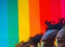 4º Fórum Coexistir debate a diversidade nas organizações -  (crédito: DINO)