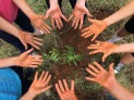 Relatórios de sustentabilidade de escolas ganham relevância - (crédito: DINO) Relatórios de sustentabilidade de escolas ganham relevância - (crédito: DINO)