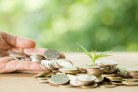 Planting trees on a coin pile with sunlight to save money, saving and investment ideas or future financial planning, ideas for business, innovation, growth and money.
- (crédito: DINO) Planting trees on a coin pile with sunlight to save money, saving and investment ideas or future financial planning, ideas for business, innovation, growth and money.
- (crédito: DINO)