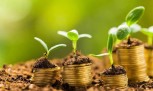 Como investir melhor: Veja 5 passos para equilibrar sua carteira -  (crédito: Mercado Hoje)