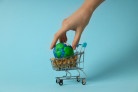 EcoPay cria cashback para produtos recicláveis - (crédito: DINO) EcoPay cria cashback para produtos recicláveis - (crédito: DINO)