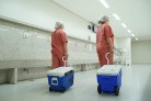 Recusa familiar desafia doação de órgãos no Brasil -  (crédito: DINO)