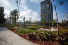 Paisagismo ganha espaço em projetos imobiliários - (crédito: DINO) Paisagismo ganha espaço em projetos imobiliários - (crédito: DINO)