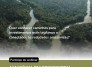 Webinário debate caminhos para investimentos sustentáveis - (crédito: DINO) Webinário debate caminhos para investimentos sustentáveis - (crédito: DINO)