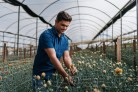 Primavera destaca diversidade no mercado de flores -  (crédito: DINO)