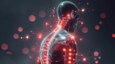 A digital human model displays areas of spinal and joint pain highlighted in red against a dark backdrop.
- (crédito: DINO) A digital human model displays areas of spinal and joint pain highlighted in red against a dark backdrop.
- (crédito: DINO)