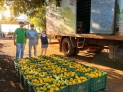 Sidrolândia lidera CeasaMS com a força do pequeno agricultor -  (crédito: DINO)