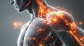  Human upper body with highlighted neural pathways and glowing connections.
     -  (crédito: DINO)