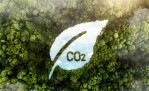 Crédito de carbono de alta qualidade sobe 75%, diz MSCI - (crédito: DINO) Crédito de carbono de alta qualidade sobe 75%, diz MSCI - (crédito: DINO)