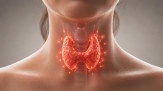 Tireoide pode estar por trás de infertilidade e lipedema - (crédito: DINO) Tireoide pode estar por trás de infertilidade e lipedema - (crédito: DINO)