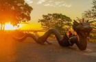 Esculturas e obras, a arte que nasce do Rio São Francisco - (crédito: DINO) Esculturas e obras, a arte que nasce do Rio São Francisco - (crédito: DINO)