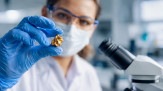 Ouro na medicina: como o metal é usado para tratar doenças - (crédito: DINO) Ouro na medicina: como o metal é usado para tratar doenças - (crédito: DINO)