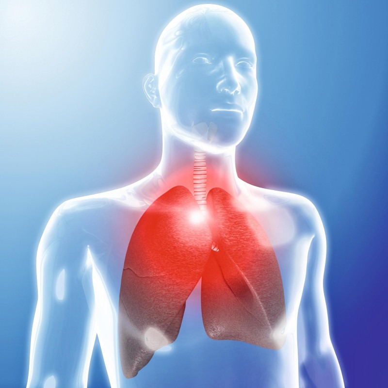 Doença cardiopulmonar é desconhecida por 62% dos brasileiros -  (crédito: DINO)