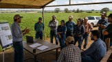 Agro investe em tecnologia, mas problema dentro da porteira ameaça resultados -  (crédito: PulseBrand)