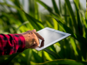 Agro 5.0 impulsiona tecnologia e estratégia no setor -  (crédito: DINO)