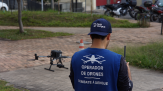 Fim da trégua: calor atípico antecipa alerta da dengue - (crédito: DINO) Fim da trégua: calor atípico antecipa alerta da dengue - (crédito: DINO)