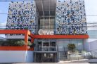 Qive cria projeto para impulsionar mulheres na tecnologia -  (crédito: DINO)