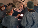Cirurgia ao vivo é destaque do Neuro University Summit 2026 - (crédito: DINO) Cirurgia ao vivo é destaque do Neuro University Summit 2026 - (crédito: DINO)